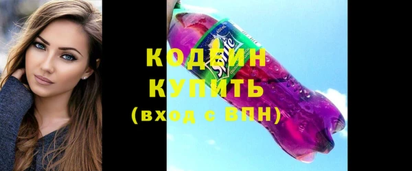 амф Няндома
