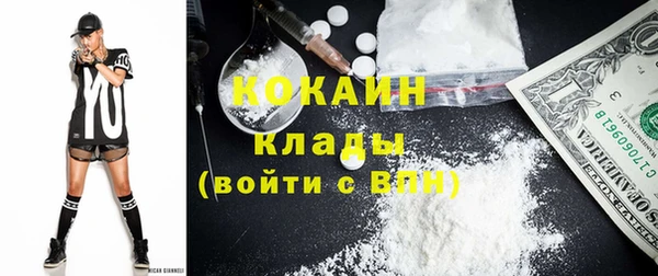 шишки Алзамай