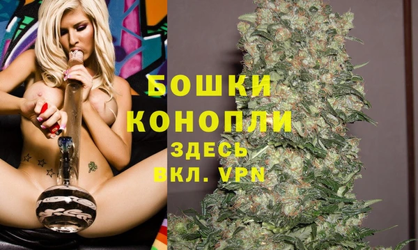 ПСИЛОЦИБИНОВЫЕ ГРИБЫ Нязепетровск