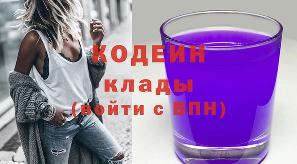 амф Няндома