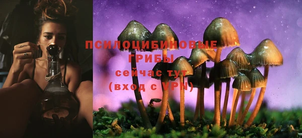 mdpv Нягань