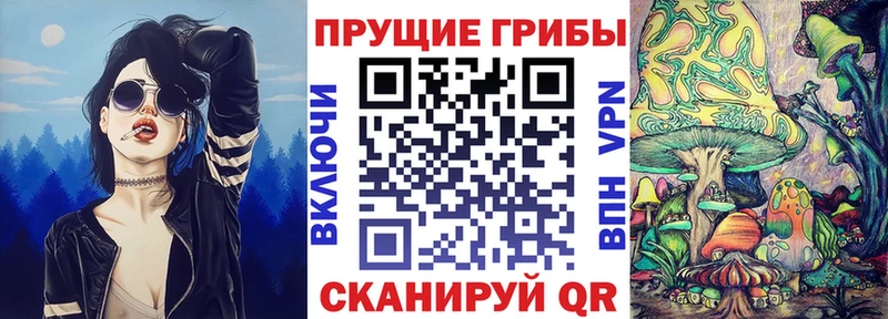 Псилоцибиновые грибы GOLDEN TEACHER  Лиски 